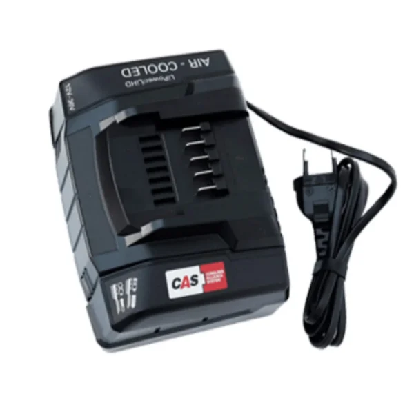 Schnellladegerät CAS